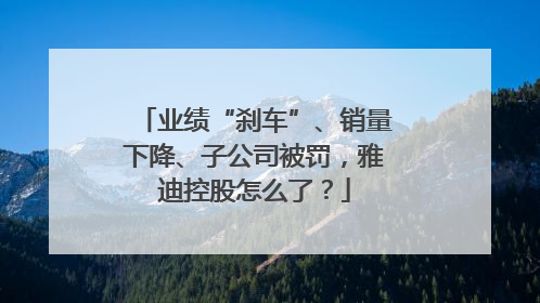 业绩“刹车”、销量下降、子公司被罚，雅迪控股怎么了？