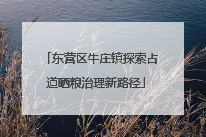 东营区牛庄镇探索占道晒粮治理新路径