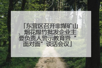 东营区召开非煤矿山、烟花爆竹批发企业主要负责人警示教育暨“面对面”谈话会议