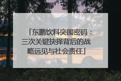 东鹏饮料突围密码：三次关键抉择背后的战略远见与社会责任