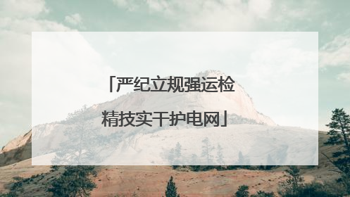 严纪立规强运检 精技实干护电网