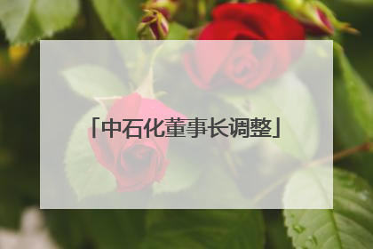 中石化董事长调整