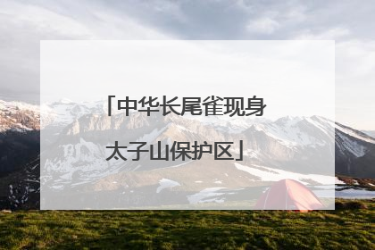 中华长尾雀现身太子山保护区