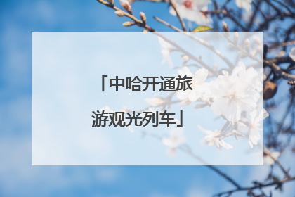 中哈开通旅游观光列车