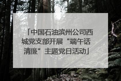 中国石油滨州公司西城党支部开展“端午话清廉”主题党日活动