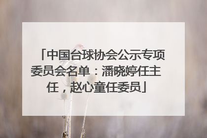 中国台球协会公示专项委员会名单：潘晓婷任主任，赵心童任委员