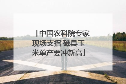 中国农科院专家现场支招 磁县玉米单产要冲新高