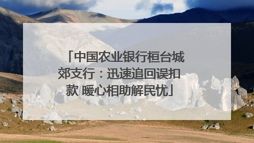 中国农业银行桓台城郊支行：迅速追回误扣款 暖心相助解民忧