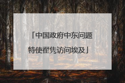 中国政府中东问题特使翟隽访问埃及