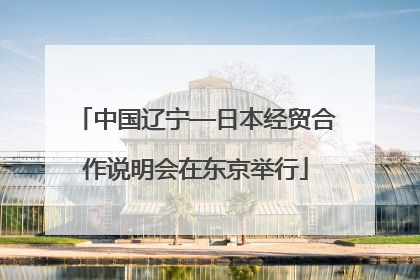中国辽宁—日本经贸合作说明会在东京举行