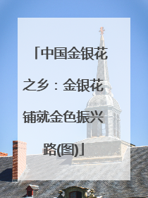 中国金银花之乡：金银花铺就金色振兴路(图)