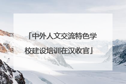 中外人文交流特色学校建设培训在汉收官