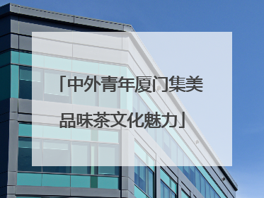 中外青年厦门集美品味茶文化魅力