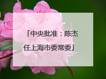 中央批准：陈杰任上海市委常委