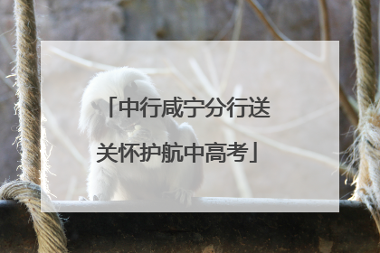中行咸宁分行送关怀护航中高考