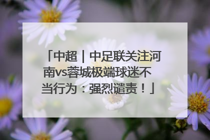 中超｜中足联关注河南vs蓉城极端球迷不当行为：强烈谴责！
