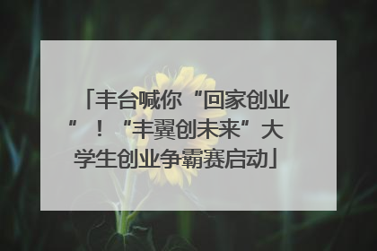 丰台喊你“回家创业”！“丰翼创未来”大学生创业争霸赛启动