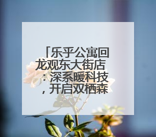乐乎公寓回龙观东大街店：深系暖科技，开启双栖森活范本