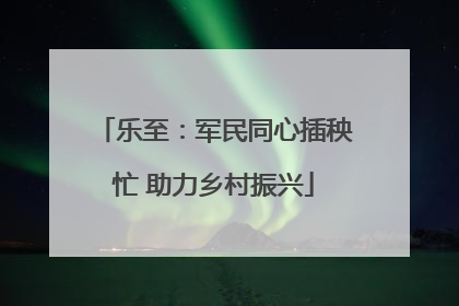 乐至：军民同心插秧忙 助力乡村振兴