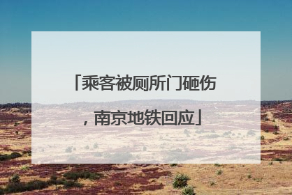 乘客被厕所门砸伤，南京地铁回应