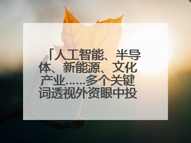 人工智能、半导体、新能源、文化产业……多个关键词透视外资眼中投资中国的新机遇