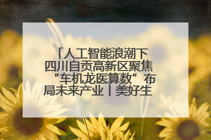 人工智能浪潮下 四川自贡高新区聚焦“车机龙医算数”布局未来产业丨美好生活有“盐”味