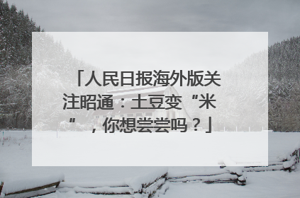人民日报海外版关注昭通：土豆变“米”，你想尝尝吗？