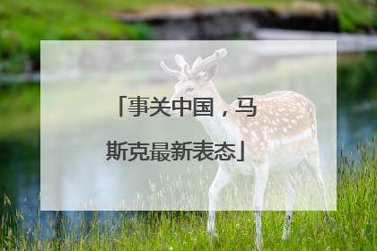 事关中国，马斯克最新表态