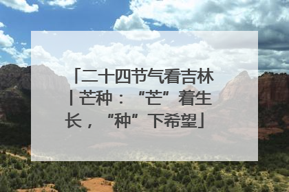 二十四节气看吉林丨芒种：“芒”着生长，“种”下希望