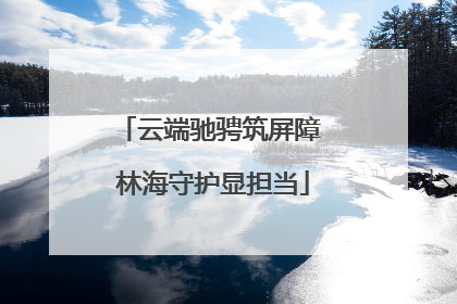云端驰骋筑屏障 林海守护显担当