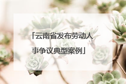 云南省发布劳动人事争议典型案例