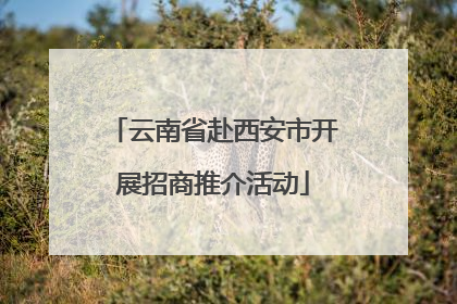 云南省赴西安市开展招商推介活动