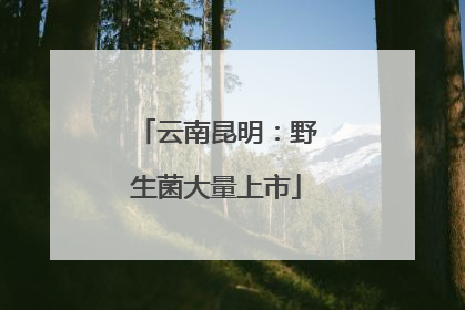 云南昆明：野生菌大量上市