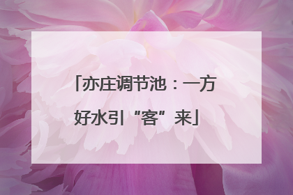 亦庄调节池：一方好水引“客”来