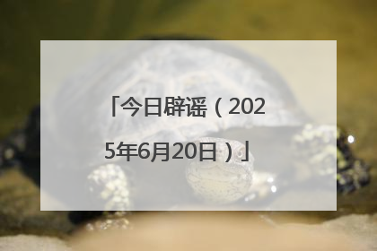 今日辟谣（2025年6月20日）
