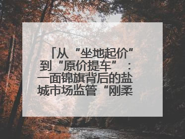 从“坐地起价”到“原价提车”：一面锦旗背后的盐城市场监管“刚柔并济”