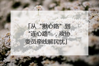 从“揪心路”到“连心路”，政协委员牵线解民忧