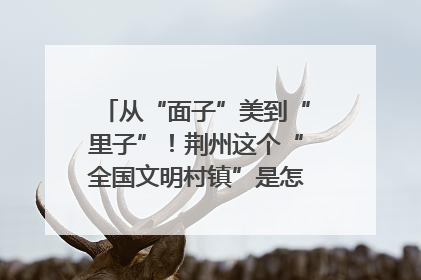 从“面子”美到“里子”！荆州这个“全国文明村镇”是怎样炼成的？