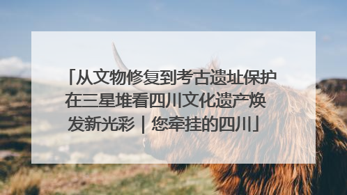 从文物修复到考古遗址保护 在三星堆看四川文化遗产焕发新光彩｜您牵挂的四川