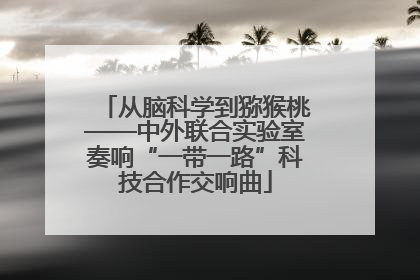 从脑科学到猕猴桃——中外联合实验室奏响“一带一路”科技合作交响曲