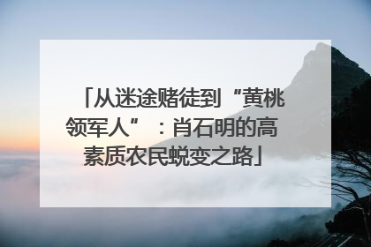 从迷途赌徒到“黄桃领军人”：肖石明的高素质农民蜕变之路
