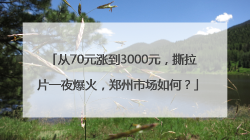 从70元涨到3000元，撕拉片一夜爆火，郑州市场如何？