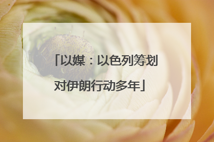 以媒：以色列筹划对伊朗行动多年