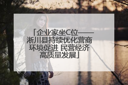 企业家坐C位——淅川县持续优化营商环境促进 民营经济高质量发展