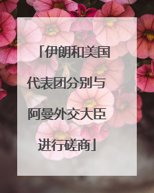 伊朗和美国代表团分别与阿曼外交大臣进行磋商