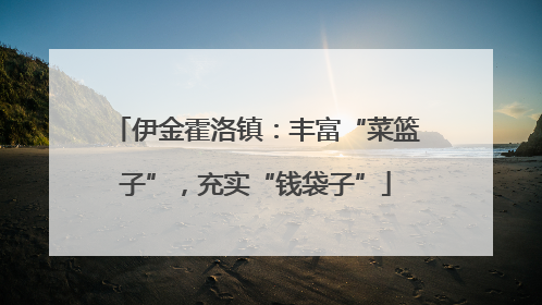 伊金霍洛镇：丰富“菜篮子”，充实“钱袋子”