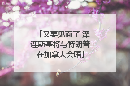又要见面了 泽连斯基将与特朗普在加拿大会晤