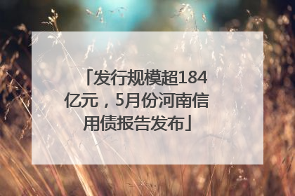 发行规模超184亿元，5月份河南信用债报告发布
