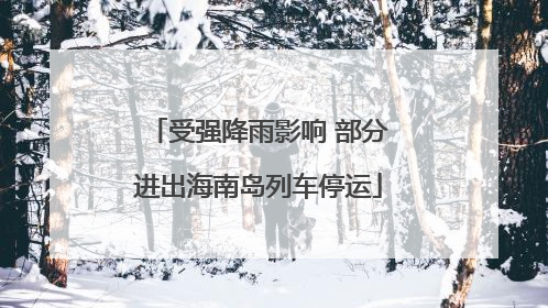 受强降雨影响 部分进出海南岛列车停运