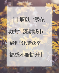 十堰以“绣花功夫”深耕城市治理 让群众幸福感不断提升